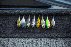 Berkley DEX Ripper 11 Berkley DEX Ripper -Angeln Verkäufe 1572667r 6