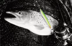 Fladen Silver Chaser 18g -Angeln Verkäufe 16 6818 1r 2