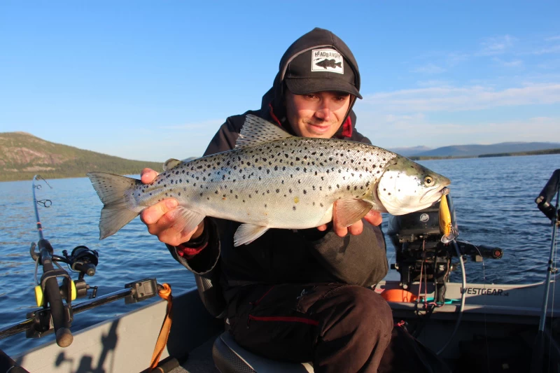 Headbanger Cranky Shad 3 Headbanger Cranky Shad – Bild 3