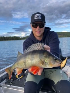 Headbanger Cranky Shad 11 Headbanger Cranky Shad -Angeln Verkäufe CS 25 SS BKr 6