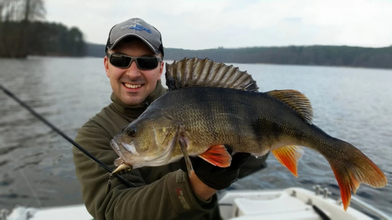 Spinmad Tail Spinner Jigmaster 8g 2 Spinmad Tail Spinner Jigmaster 8g – Bild 2