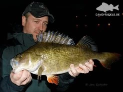 Keitech FAT Swing Impact 9,6cm -Angeln Verkäufe KEI 6038CT06r 5