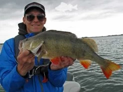 Keitech FAT Swing Impact 9,6cm -Angeln Verkäufe KEI 6038CT06r 6