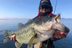 Megabass Dyna Response 14g -Angeln Verkäufe MB DR 4513473478703r 3