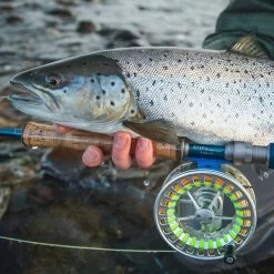 Vision Stifu Flyrod 5 Vision Stifu Flyrod -Angeln Verkäufe VFU4967r 3