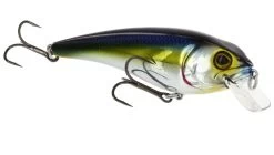 RawBite 11cm 27g Low Floating -Angeln Verkäufe WS14112r 4