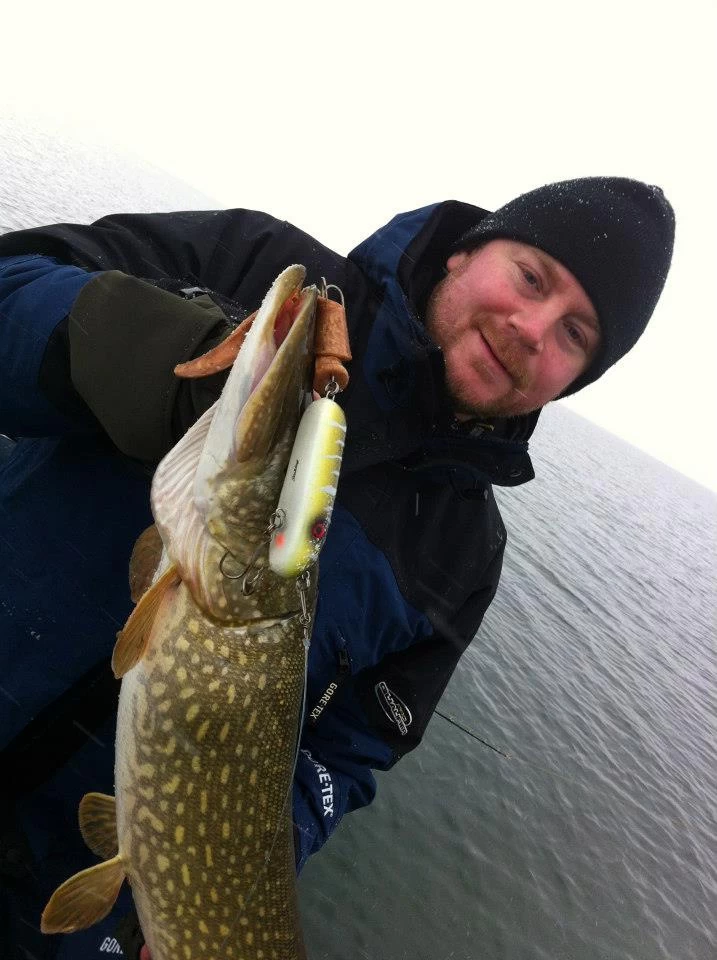 SvartZonker Big Tail (2-pack) 2 SvartZonker Big Tail (2-pack) – Bild 2