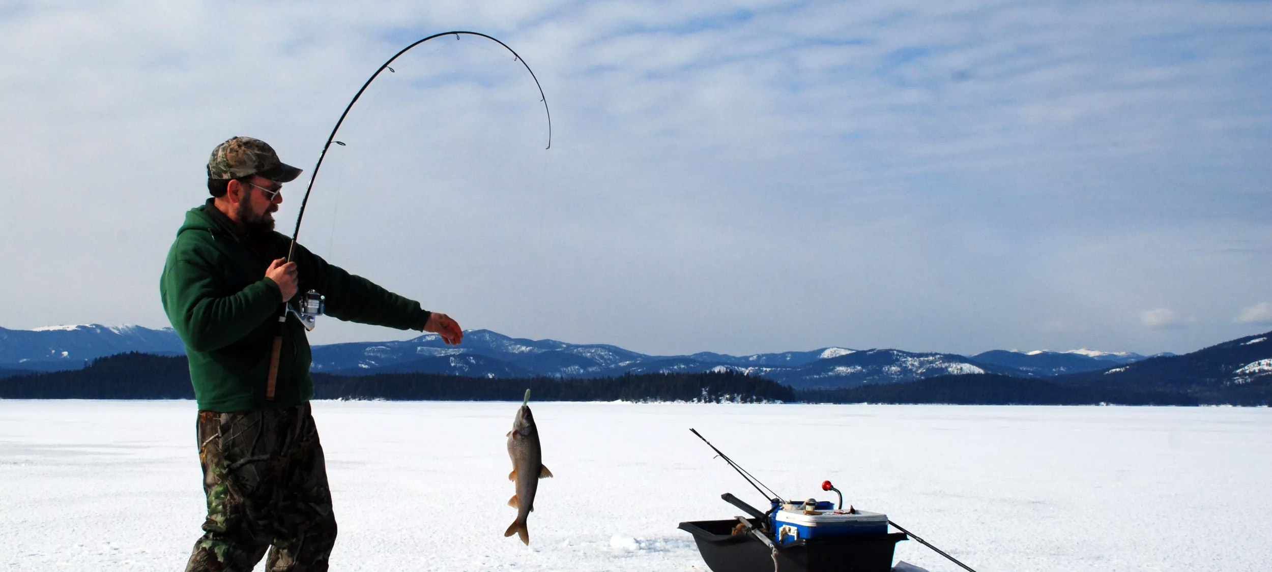 Angeln Verkäufe -Angeln Verkäufe 2